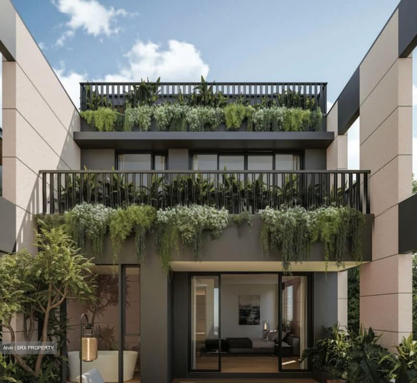 Palm Road (D15), Terrace #556154611